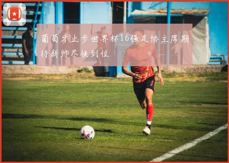 葡萄牙止步世界杯16强足协主席期待新帅尽快到位
